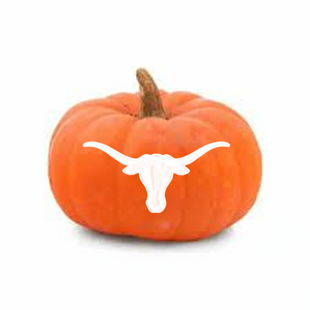 Longhorns Logo Painted Pumpkins